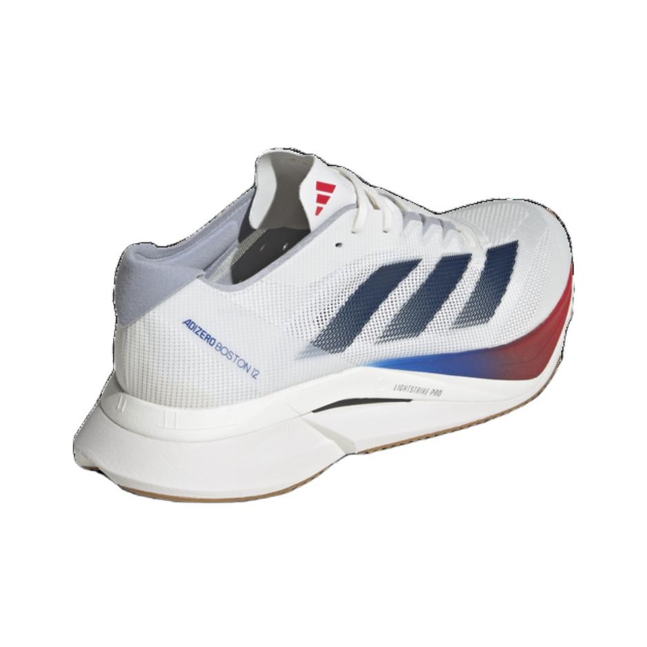Adidas Adizero Boston 12 Runni - Adidas Shoes Adizero Boston 12 review and price